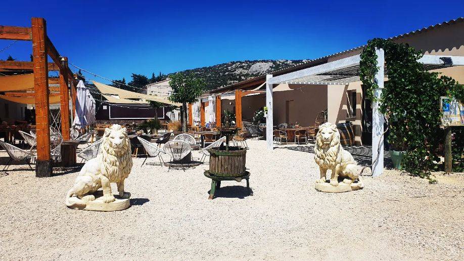 ventoux-prestige-vtc-degustation-vin