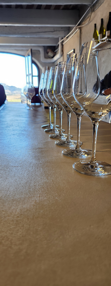 Winetour_Ventoux Prestige (1) (1)