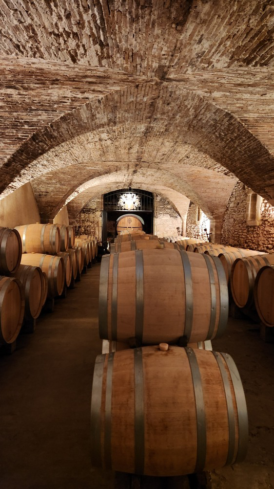 Winetour_Ventoux Prestige (2)